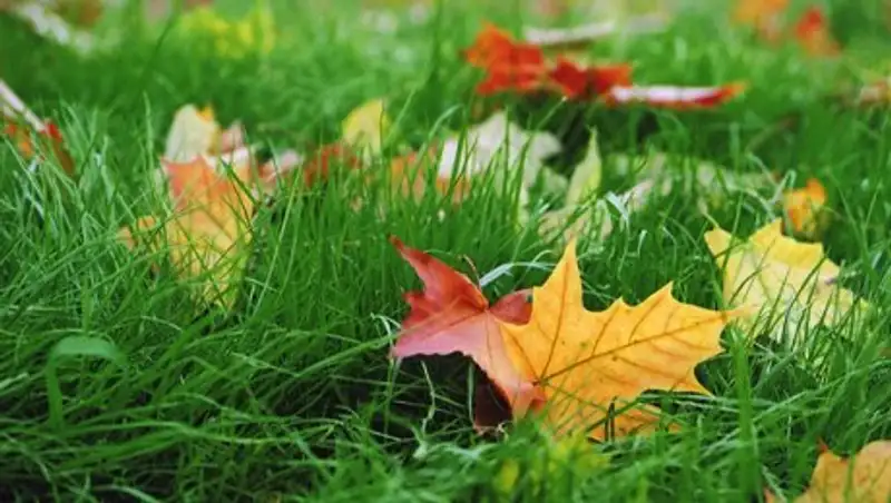 4 сентября на большей части Казахстана ожидается погода без осадков