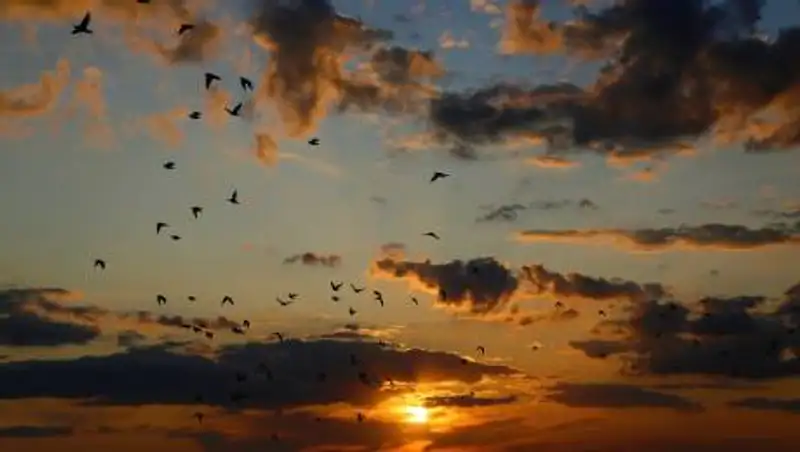 Штормовое предупреждение объявлено в шести областях Казахстана