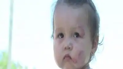 Zakon.kz, фото - Новости Zakon.kz от 31.07.2017 15:02