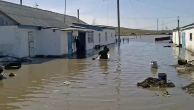 Zakon.kz, фото - Новости Zakon.kz от 20.05.2015 13:11