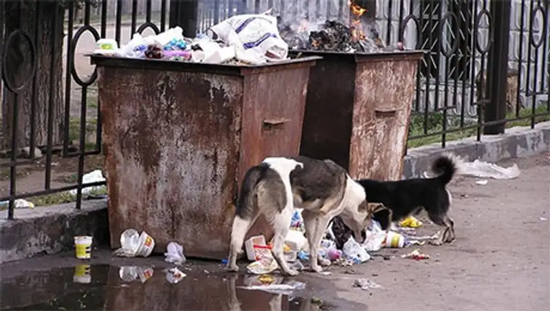 Настоящие мусорные войны развернулись в Алматы, фото - Новости Zakon.kz от 19.11.2013 16:55