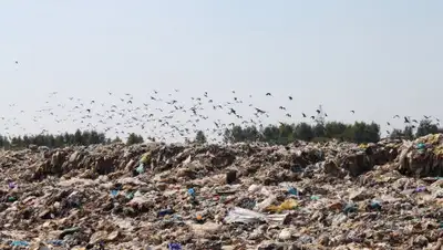 smolgazeta.ru, фото - Новости Zakon.kz от 08.10.2019 12:59