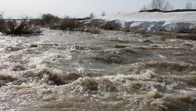 Zakon.kz, фото - Новости Zakon.kz от 16.04.2015 15:34