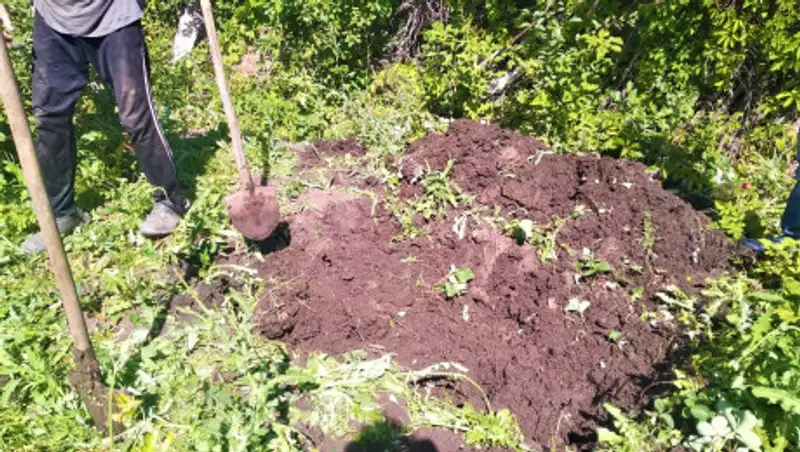 Умершую почти неделю назад бабушку в ЗКО не могут похоронить