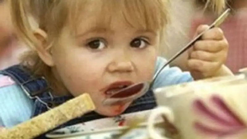 Учителя не подбрасывали червей в кашу для детей – суд Павлодара