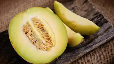 Диетолог рассказала, кому нельзя есть дыню, фото - Новости Zakon.kz от 06.08.2023 05:42