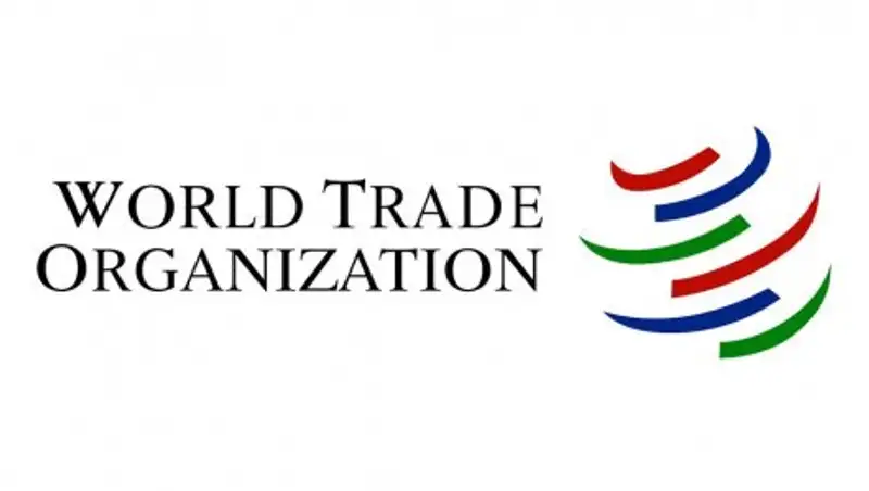 Правительство Кыргызстана обратилось в ВТО по ситуации на кыргызско-казахской границе