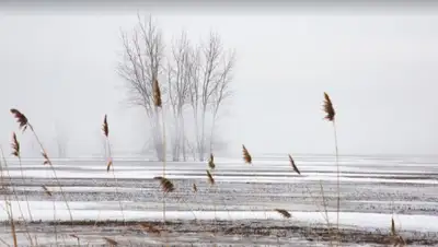 ветер, зима , фото - Новости Zakon.kz от 28.12.2021 14:53