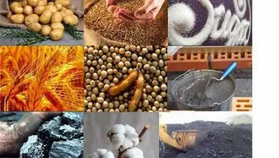 mcfr.kz, фото - Новости Zakon.kz от 11.01.2021 10:32