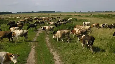 Zakon.kz, фото - Новости Zakon.kz от 15.11.2013 21:13