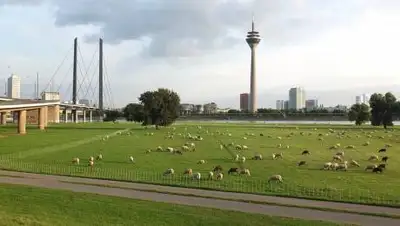 Pixabay, фото - Новости Zakon.kz от 13.09.2020 15:22