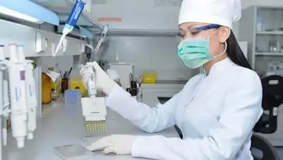 zakon.kz., фото - Новости Zakon.kz от 15.12.2020 08:01