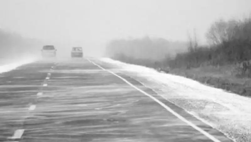 Республиканы&#1187; &#1199;ш облысында авто&#1179;оз&#1171;алыс то&#1179;тады 