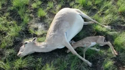 Zakon.kz, фото - Новости Zakon.kz от 20.10.2015 02:06