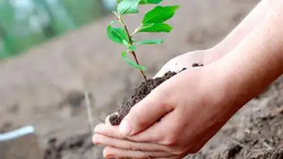 Zakon.kz, фото - Новости Zakon.kz от 02.11.2015 15:42