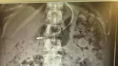 Zakon.kz, фото - Новости Zakon.kz от 26.11.2017 08:27