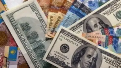 Zakon.kz, фото - Новости Zakon.kz от 17.09.2015 17:23