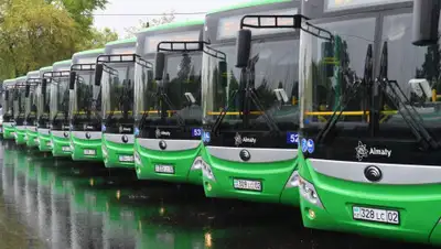 акимат Алматы, фото - Новости Zakon.kz от 20.05.2020 14:15