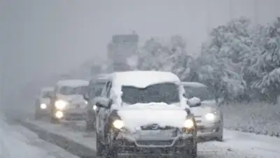 Zakon.kz, фото - Новости Zakon.kz от 21.04.2017 21:32