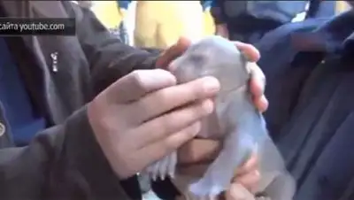 Zakon.kz, фото - Новости Zakon.kz от 06.02.2014 23:57