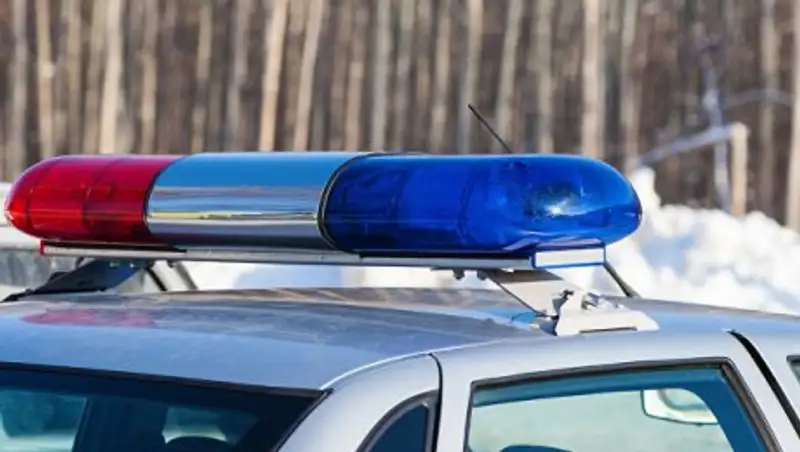 В Подмосковье в квартире пенсионерки нашли две мумии