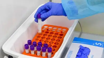 из открытых источников, фото - Новости Zakon.kz от 05.02.2021 08:00