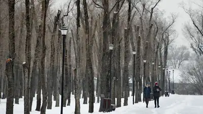 То сумку украли, то телефон – алматинцы пожаловались Досаеву на освещение, фото - Новости Zakon.kz от 02.03.2023 11:21