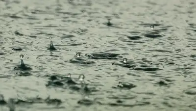 Pixabay, фото - Новости Zakon.kz от 26.07.2020 22:53