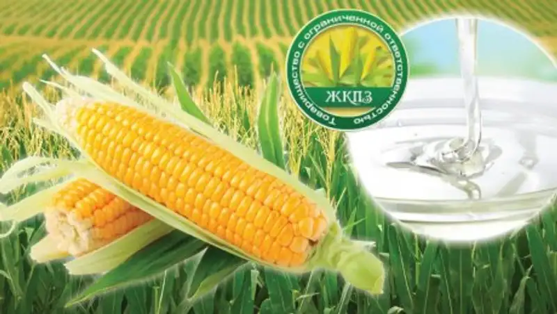 Уникальное производство: казахстанская патока, не имеющая аналогов в Средней Азии