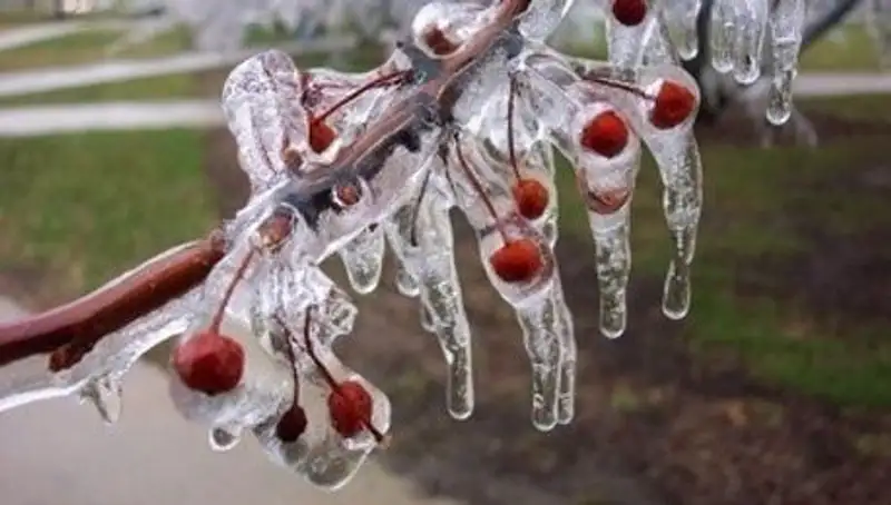Ночные морозы сохранятся на востоке Казахстана, на западе значительно потеплеет
