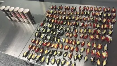 Zakon.kz, фото - Новости Zakon.kz от 02.03.2016 01:48