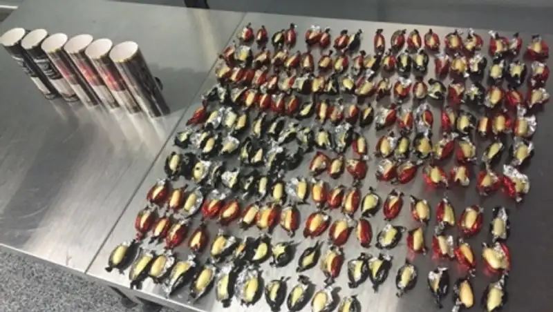 В Украине задержана партия кокаина на $2 миллиона