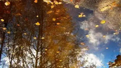 Zakon.kz, фото - Новости Zakon.kz от 01.11.2017 06:00