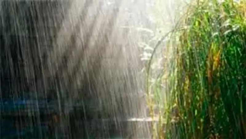 Неустойчивая погода, дожди и грозы ожидаются сегодня в стране