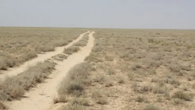 600 тысяч гектаров участков полигонов на западе РК выводятся из аренды
