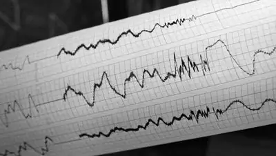 elarna.net, фото - Новости Zakon.kz от 11.12.2020 21:21