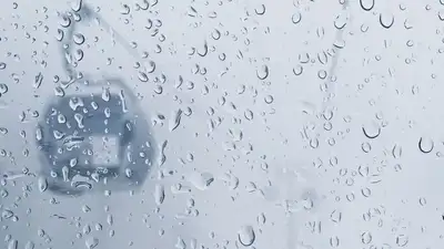 снег, туман, фото - Новости Zakon.kz от 07.02.2023 16:17