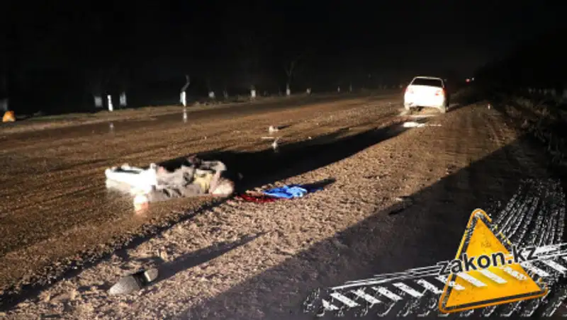 Пешехода сбили насмерть на трассе Алматы - Астана