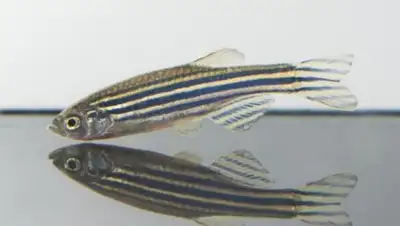 Zakon.kz, фото - Новости Zakon.kz от 04.11.2016 21:37