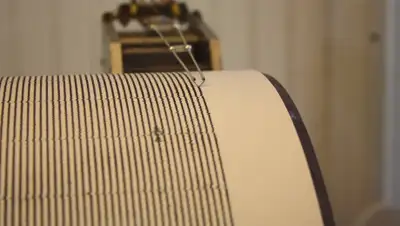 Cactus Hugs, фото - Новости Zakon.kz от 20.12.2019 19:10