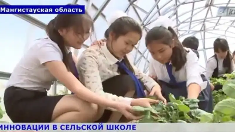 В школе Мангистауской области внедрили инновационные технологии 
