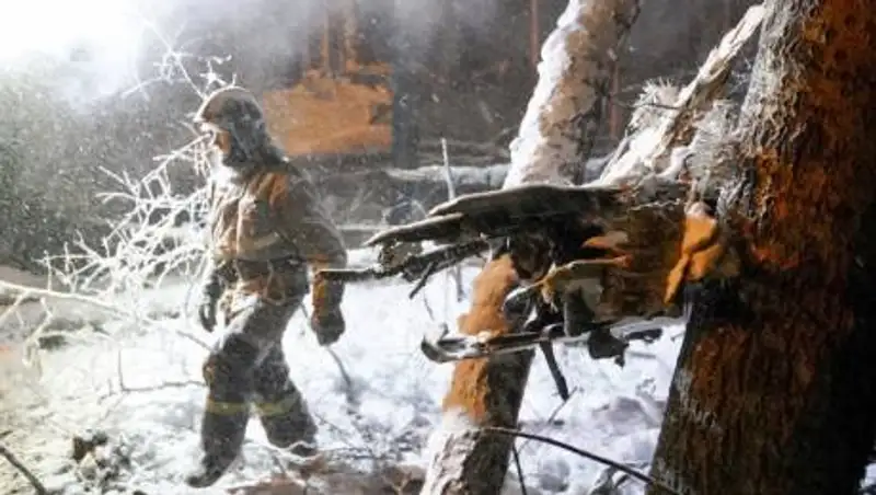 Найдены тела погибших при крушении Ан-12 под Иркутском