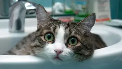 Блог Гродно s13, фото - Новости Zakon.kz от 09.06.2018 10:38