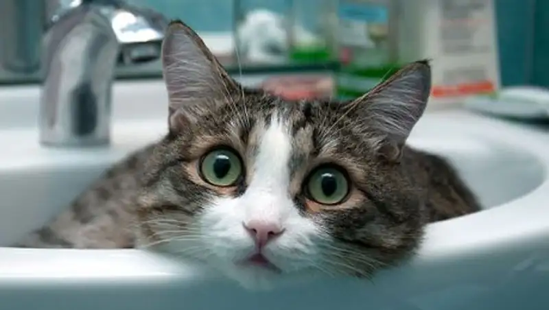 Часть домов в Алмалинском районе Алматы на сутки оставят без горячей воды