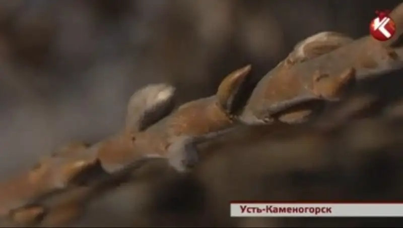 В Усть-Каменогорске на деревьях набухли почки