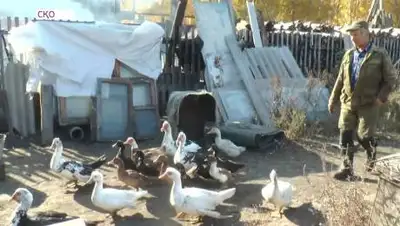 Кадр из видео, фото - Новости Zakon.kz от 08.10.2020 01:45