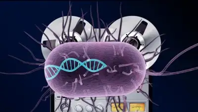 Zakon.kz, фото - Новости Zakon.kz от 24.11.2017 01:58