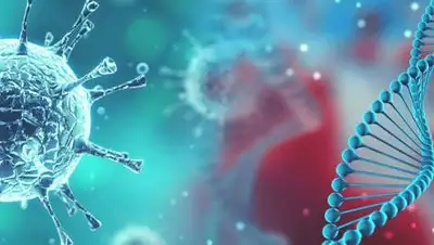 Pronews, фото - Новости Zakon.kz от 20.09.2020 00:33