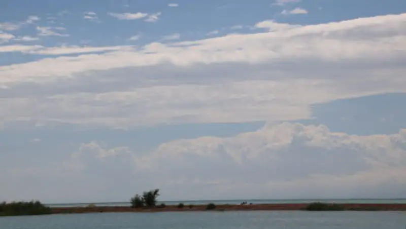 Новая жизнь: Культурно-спортивные итоги недели