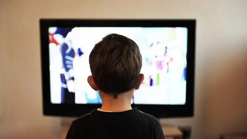 Не вещали на государственном языке: Минкультуры Кыргызстана оштрафовало два телеканала